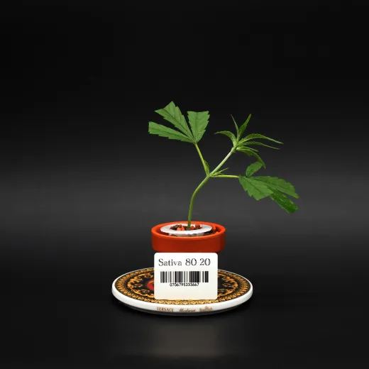 Sativa80/20