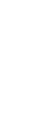 Typ 3-Anzucht (ca. 30-50 cm)