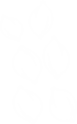 Samen (6 Stück)